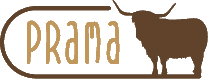 dieprama.at